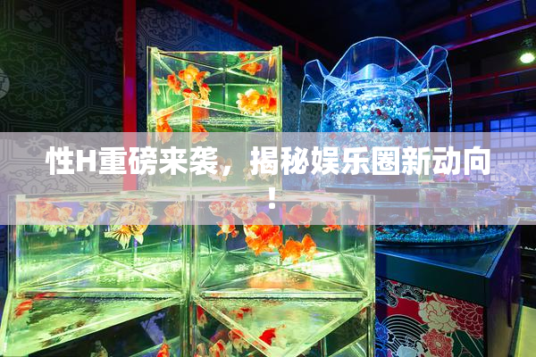 性H重磅来袭，揭秘娱乐圈新动向！