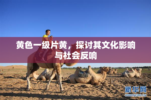 黄色一级片黄，探讨其文化影响与社会反响