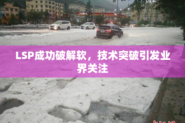 LSP成功破解软，技术突破引发业界关注