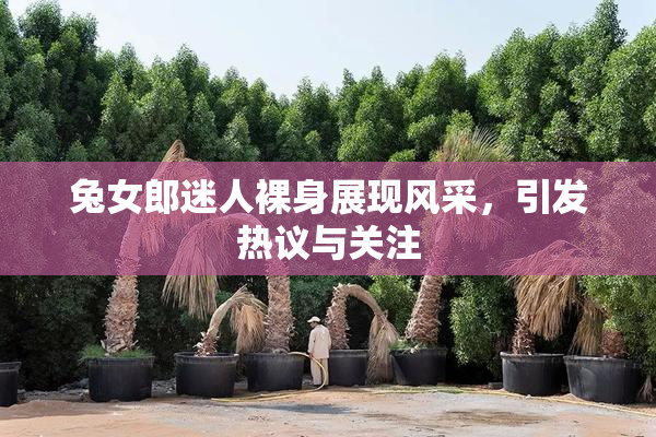 兔女郎迷人裸身展现风采，引发热议与关注