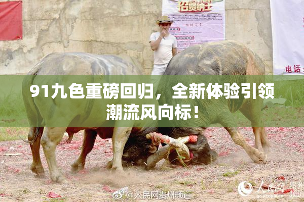 91九色重磅回归，全新体验引领潮流风向标！