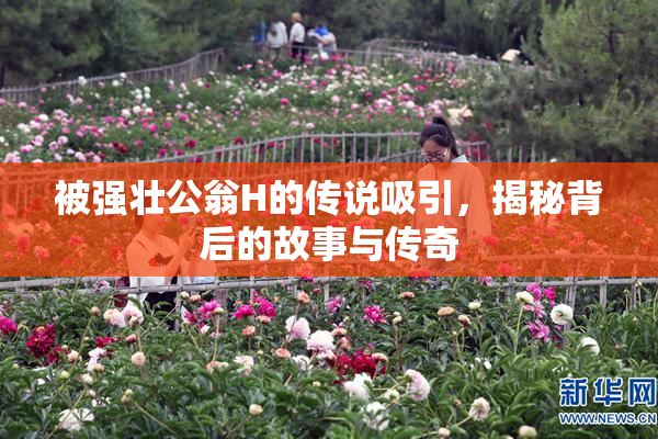 被强壮公翁H的传说吸引，揭秘背后的故事与传奇