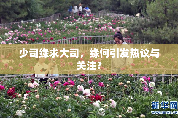 少司缘求大司，缘何引发热议与关注？