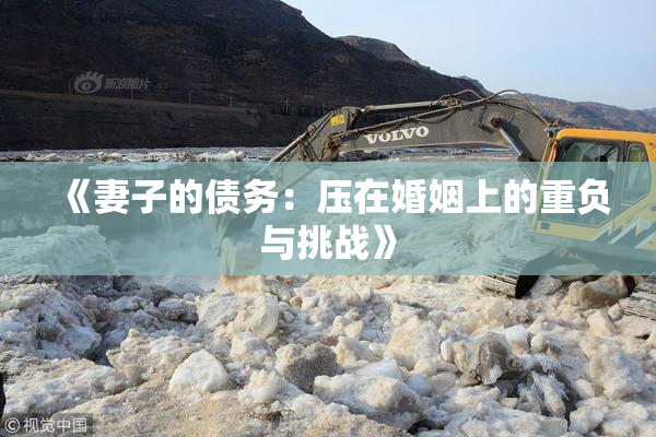 《妻子的债务：压在婚姻上的重负与挑战》