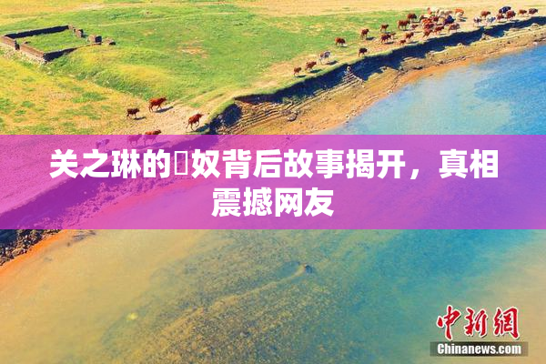关之琳的婬奴背后故事揭开，真相震撼网友