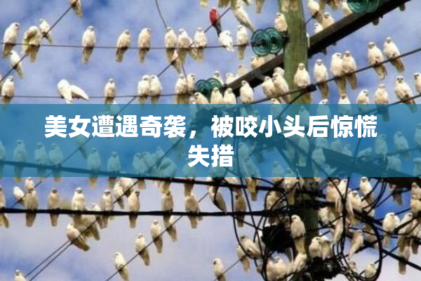 美女遭遇奇袭，被咬小头后惊慌失措