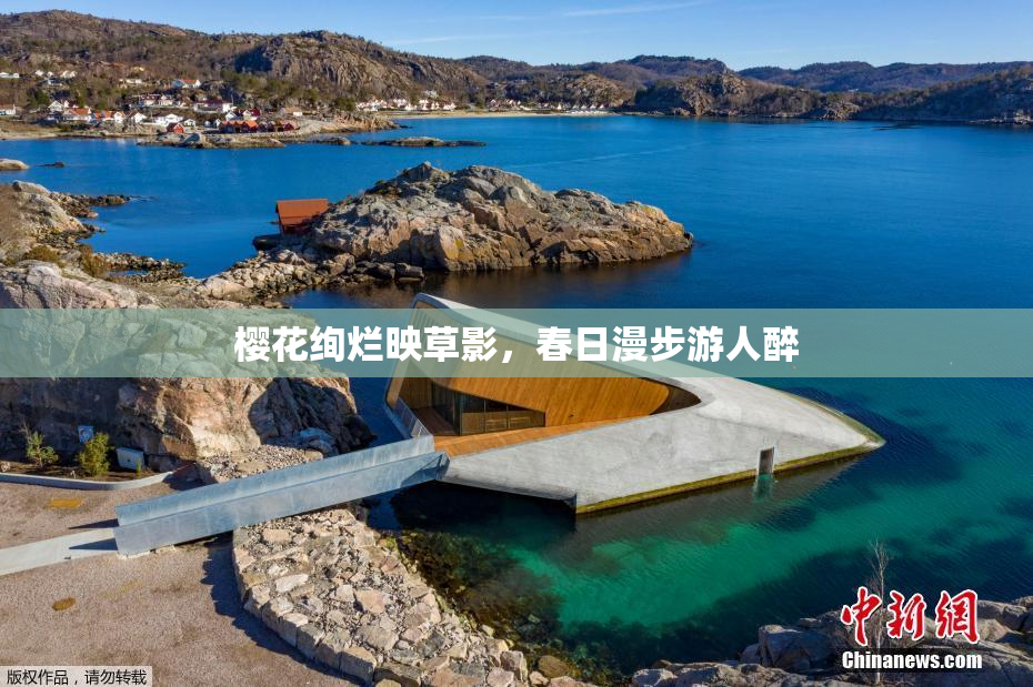 樱花绚烂映草影，春日漫步游人醉