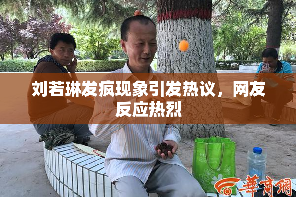 刘若琳发疯现象引发热议，网友反应热烈