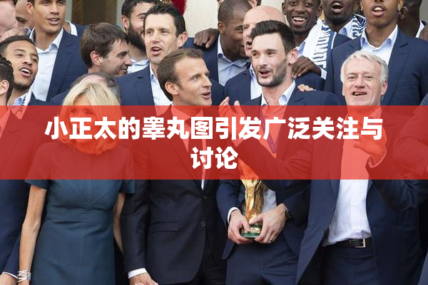 小正太的睾丸图引发广泛关注与讨论