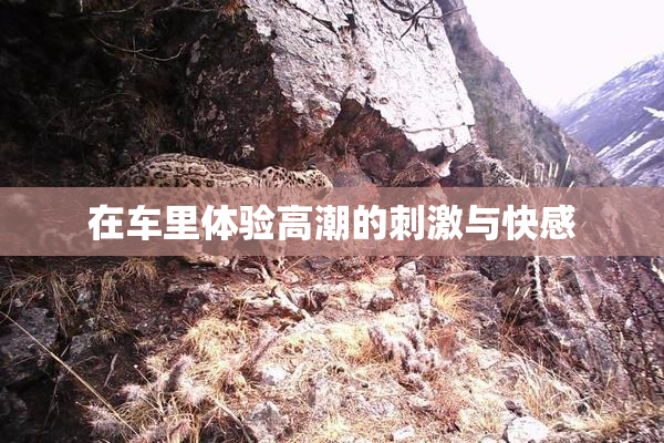 在车里体验高潮的刺激与快感