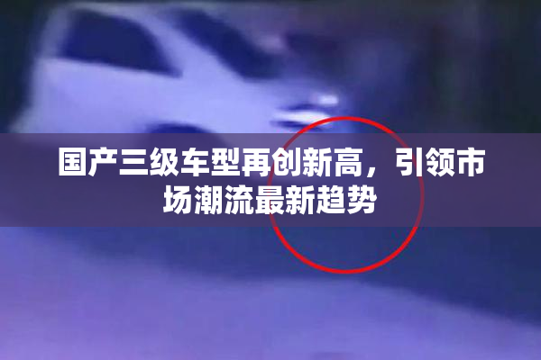 国产三级车型再创新高，引领市场潮流最新趋势