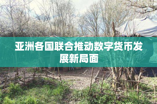 亚洲各国联合推动数字货币发展新局面