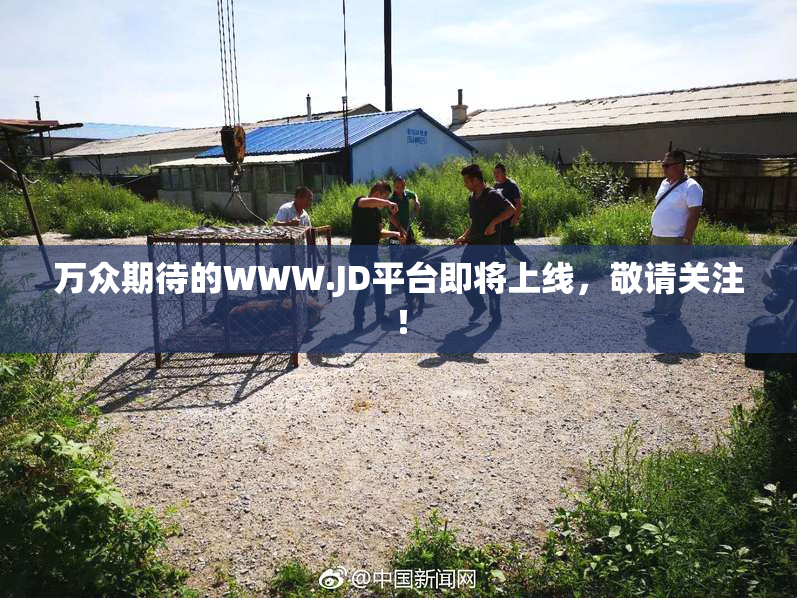 万众期待的WWW.JD平台即将上线，敬请关注！