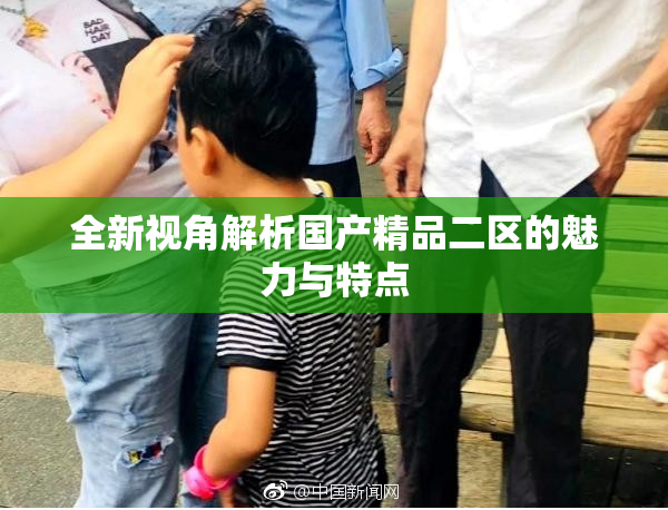 全新视角解析国产精品二区的魅力与特点