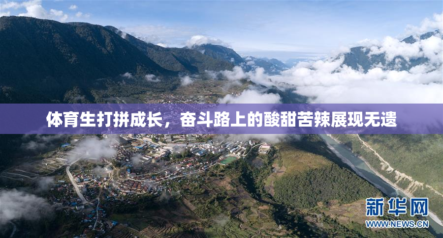 体育生打拼成长，奋斗路上的酸甜苦辣展现无遗