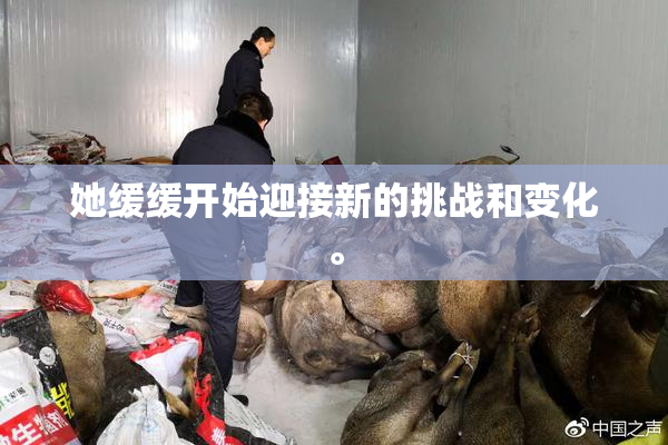 她缓缓开始迎接新的挑战和变化。