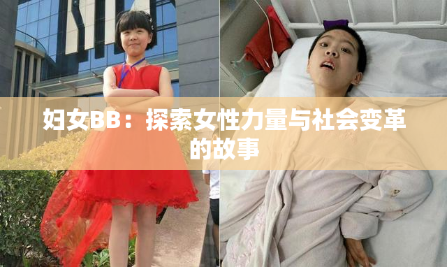 妇女BB：探索女性力量与社会变革的故事