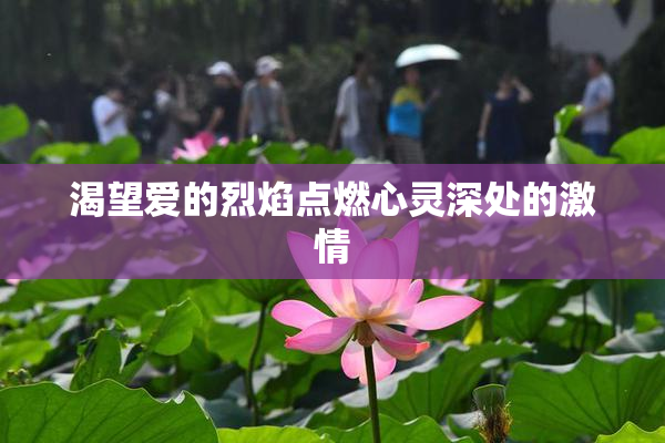 渴望爱的烈焰点燃心灵深处的激情