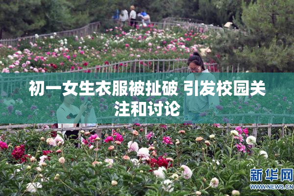 初一女生衣服被扯破 引发校园关注和讨论