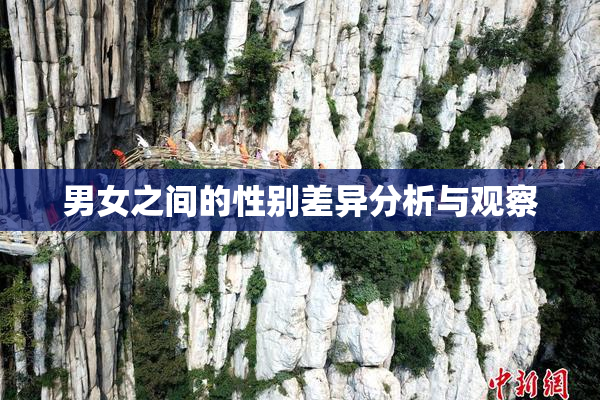 男女之间的性别差异分析与观察
