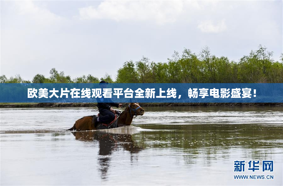 欧美大片在线观看平台全新上线，畅享电影盛宴！