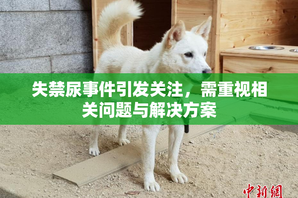 失禁尿事件引发关注，需重视相关问题与解决方案