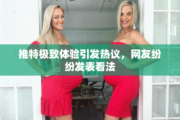 推特极致体验引发热议，网友纷纷发表看法