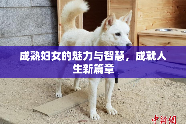 成熟妇女的魅力与智慧，成就人生新篇章
