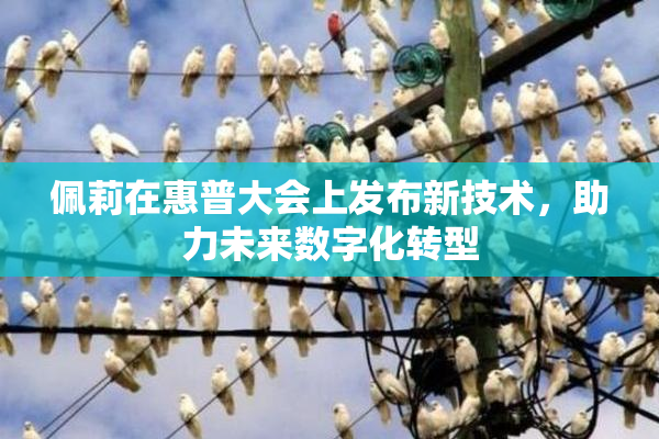 佩莉在惠普大会上发布新技术，助力未来数字化转型