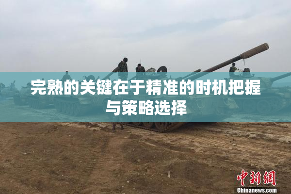 完熟的关键在于精准的时机把握与策略选择