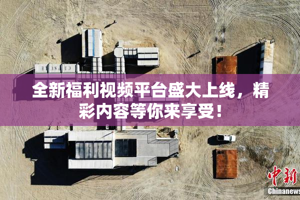 全新福利视频平台盛大上线，精彩内容等你来享受！
