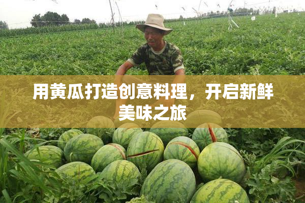 用黄瓜打造创意料理，开启新鲜美味之旅