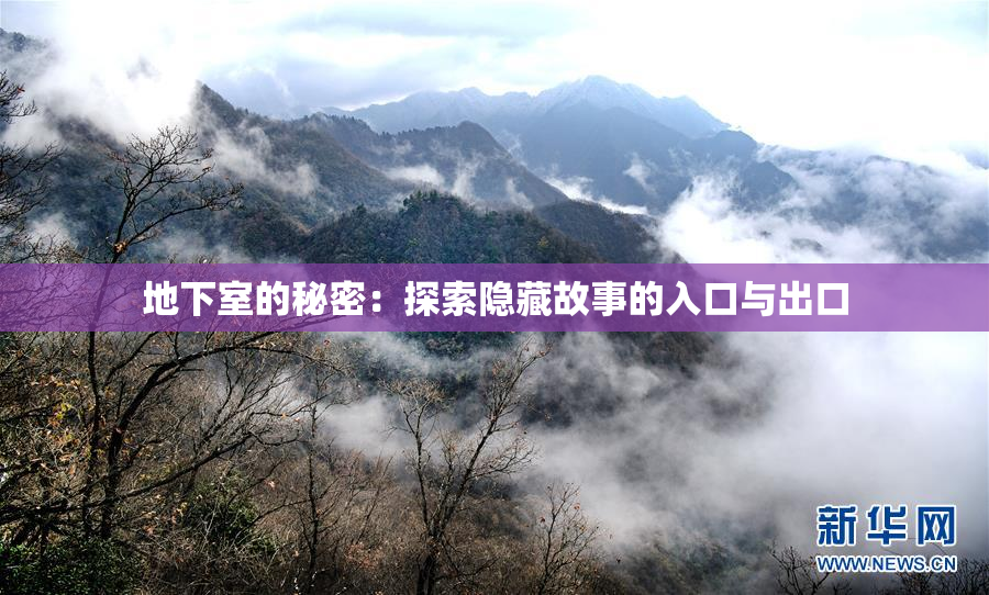 地下室的秘密：探索隐藏故事的入口与出口