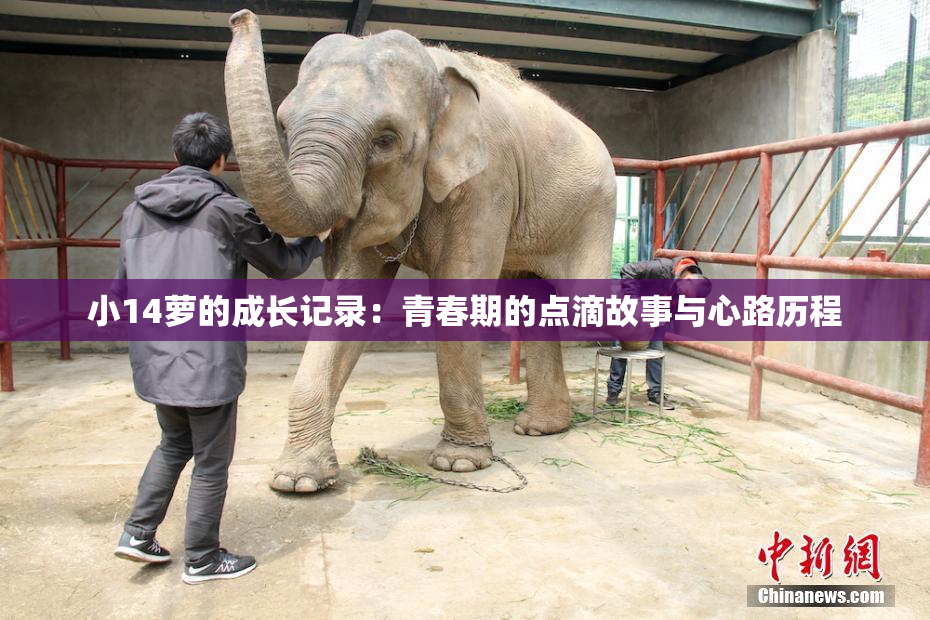 小14萝的成长记录：青春期的点滴故事与心路历程