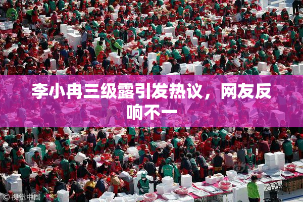 李小冉三级露引发热议，网友反响不一