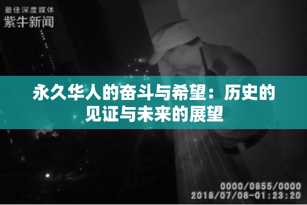 永久华人的奋斗与希望：历史的见证与未来的展望