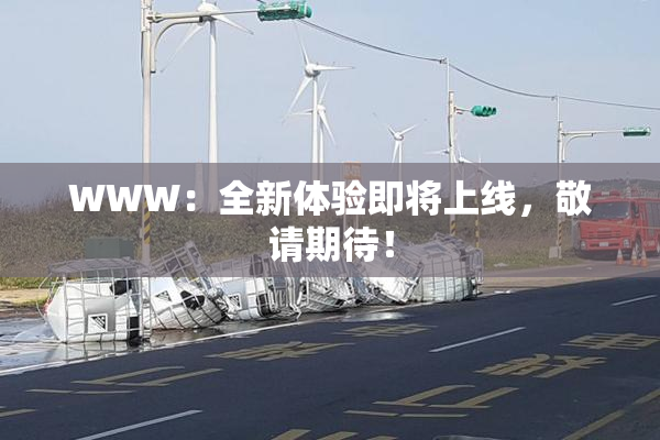 WWW：全新体验即将上线，敬请期待！