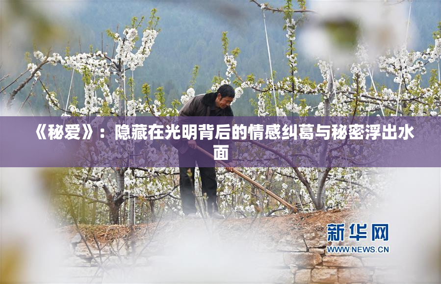《秘爱》：隐藏在光明背后的情感纠葛与秘密浮出水面