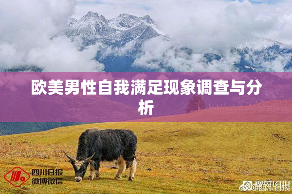 欧美男性自我满足现象调查与分析
