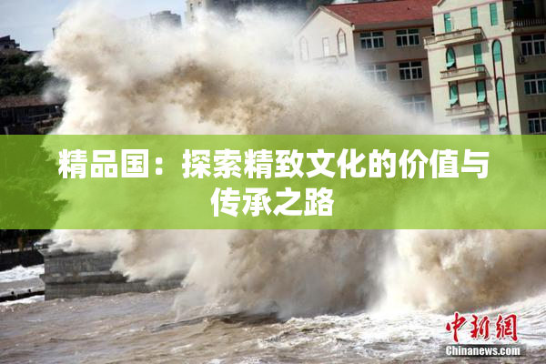 精品国：探索精致文化的价值与传承之路