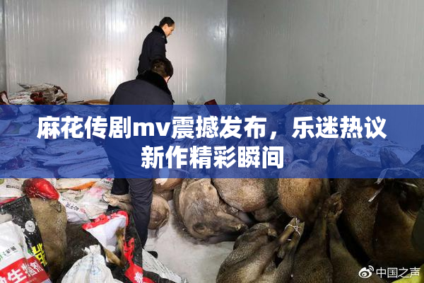 麻花传剧mv震撼发布，乐迷热议新作精彩瞬间