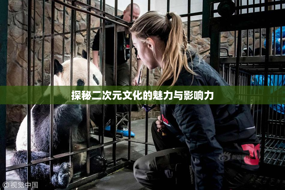 探秘二次元文化的魅力与影响力