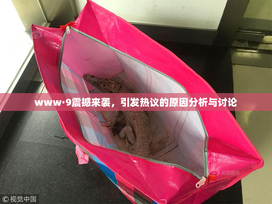 www·9震撼来袭，引发热议的原因分析与讨论