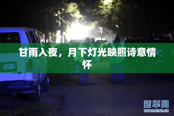 甘雨入夜，月下灯光映照诗意情怀