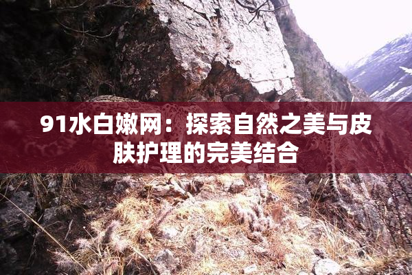 91水白嫩网：探索自然之美与皮肤护理的完美结合