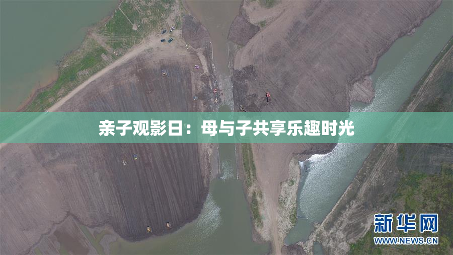 亲子观影日：母与子共享乐趣时光