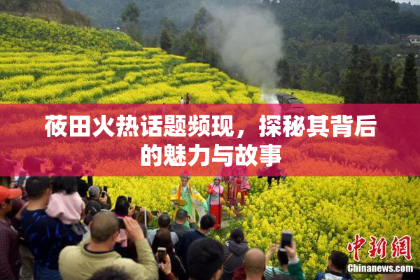 莜田火热话题频现，探秘其背后的魅力与故事