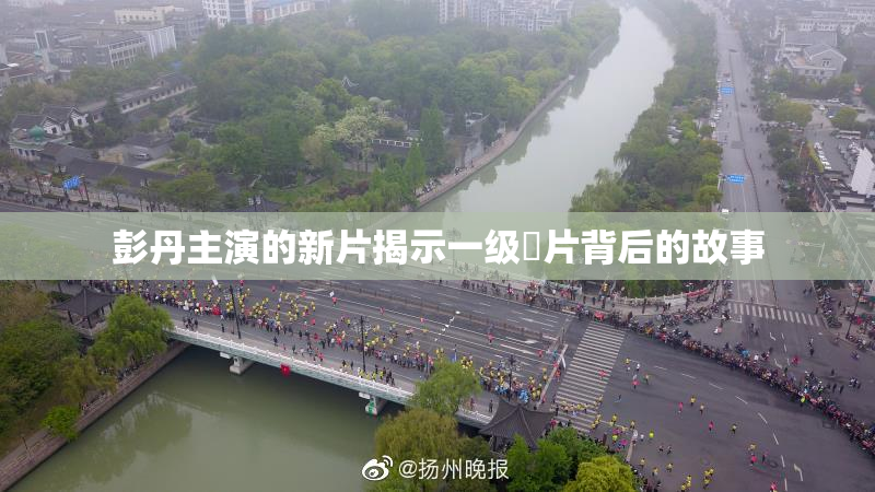 彭丹主演的新片揭示一级婬片背后的故事