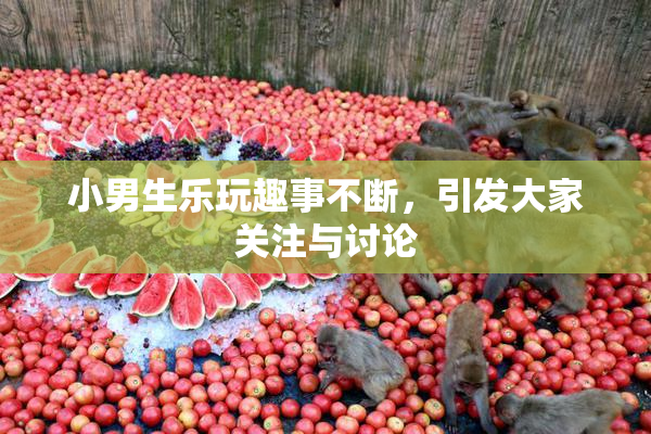 小男生乐玩趣事不断，引发大家关注与讨论