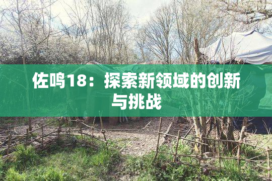 佐鸣18：探索新领域的创新与挑战